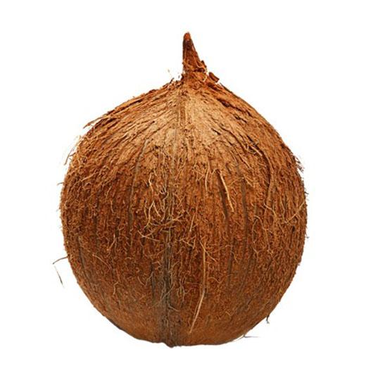 coconut