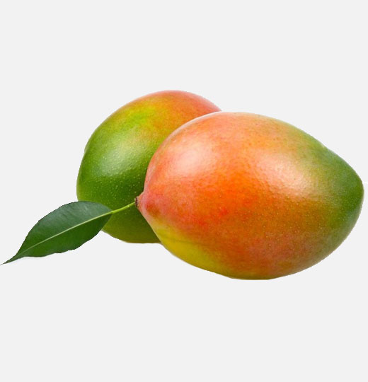 keitt mango