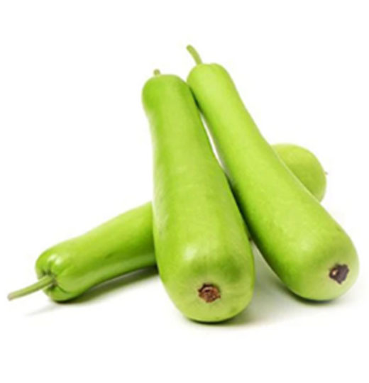 bottle gourd