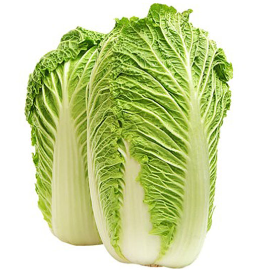 chinese cabbage