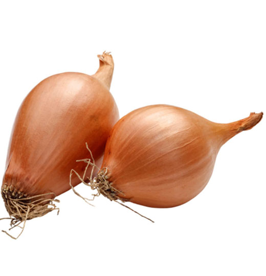 shallot